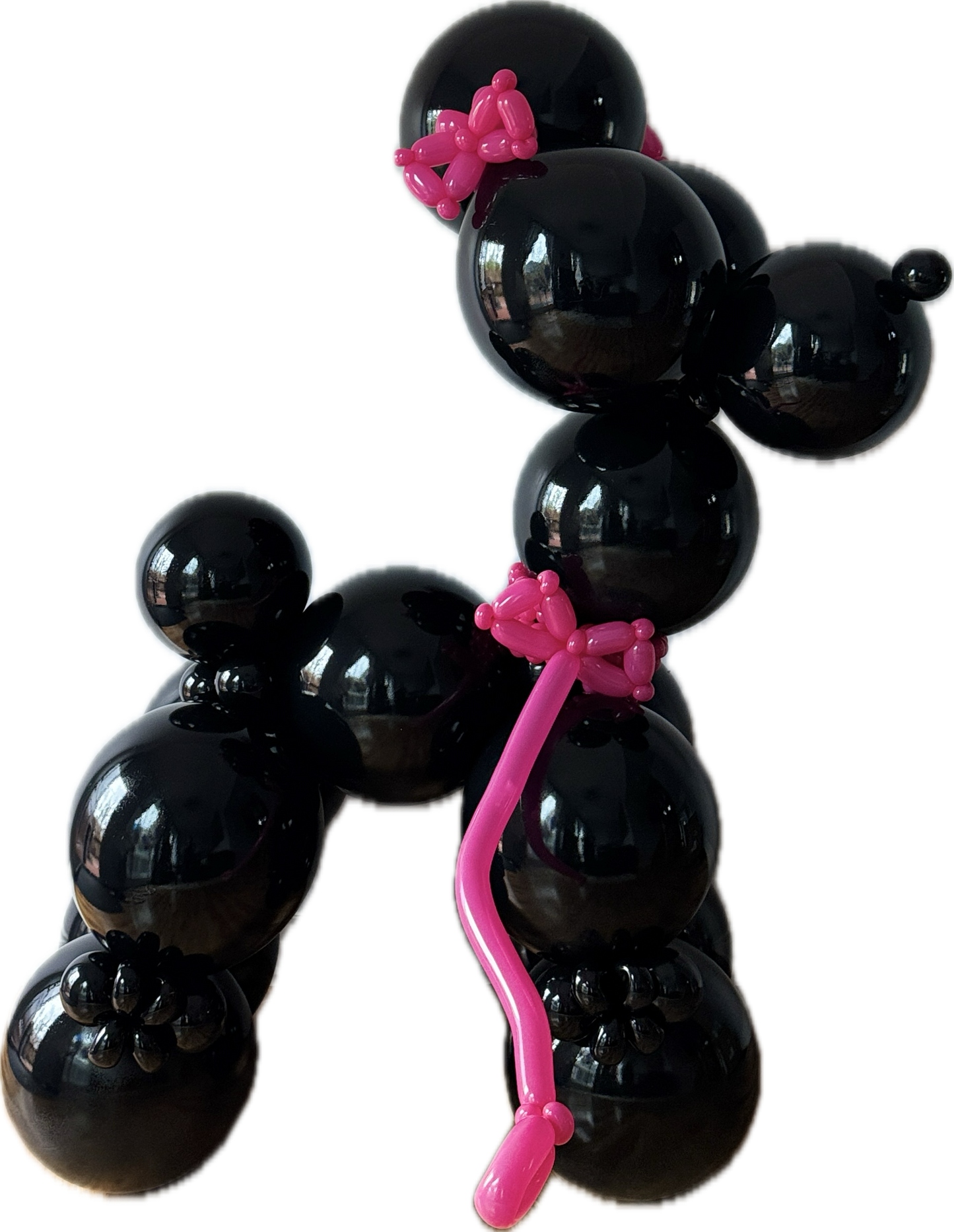 Luxury Balloon Poodle Duo