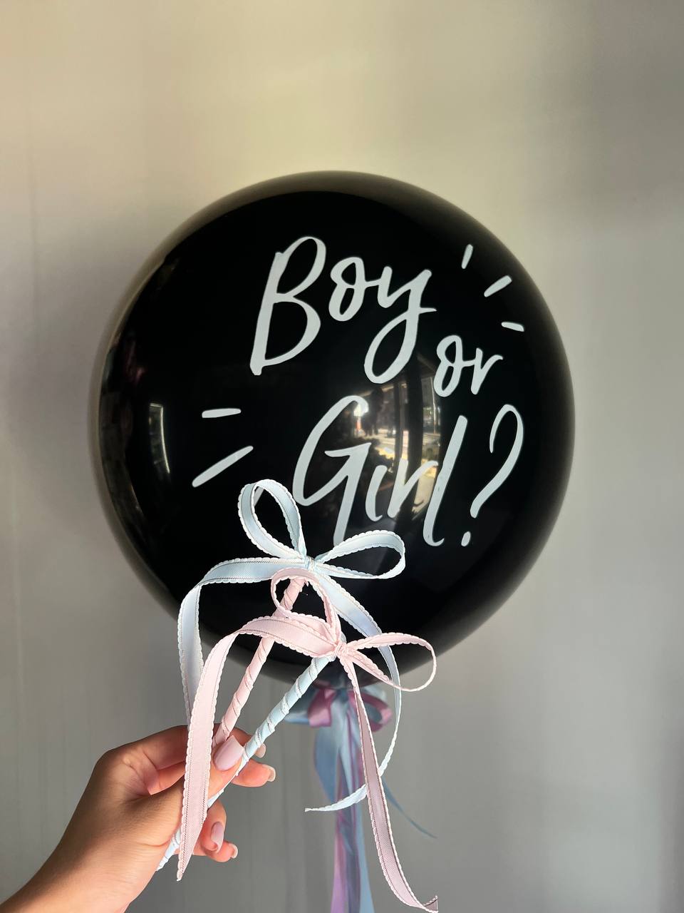 Gender Reveal