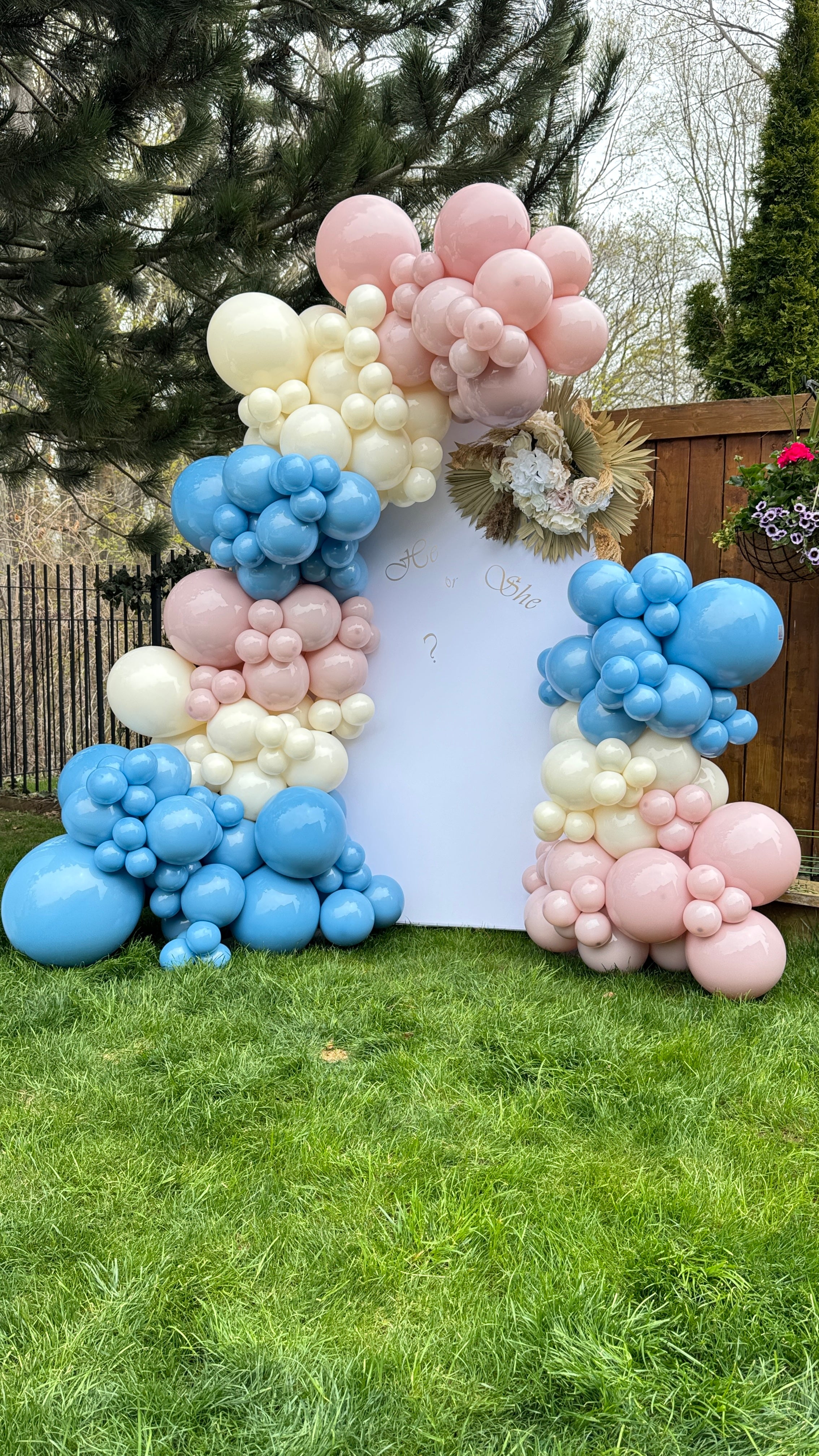 Baby's magical moments forever.