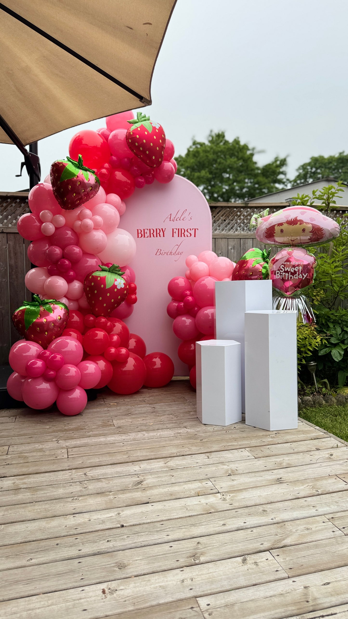 Sweet Strawberry Dream Backdrop