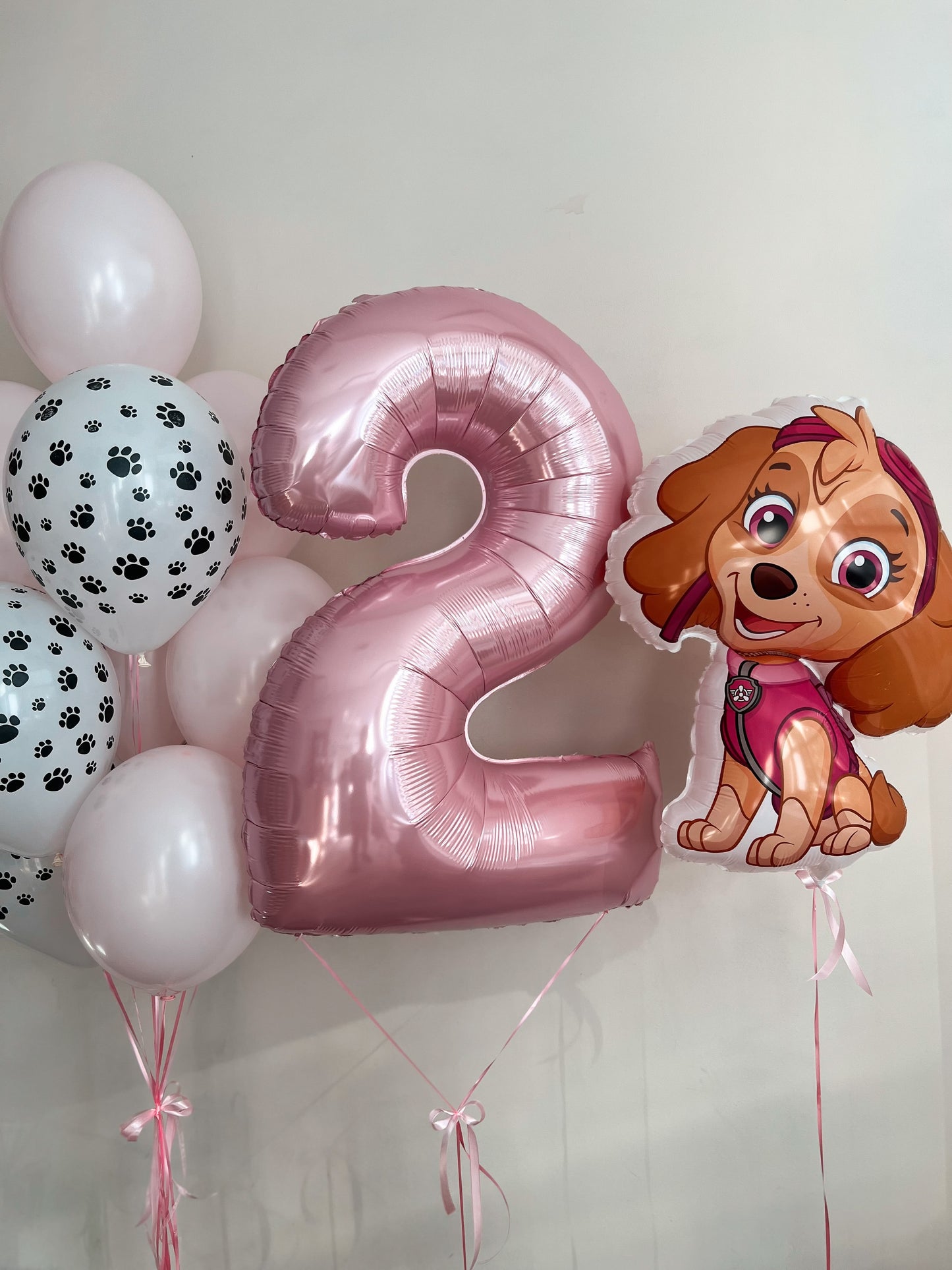 Skye 2nd Birthday Balloon Set 🎀🐾