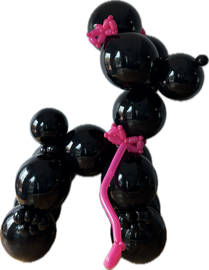 Luxury Balloon Poodle Duo