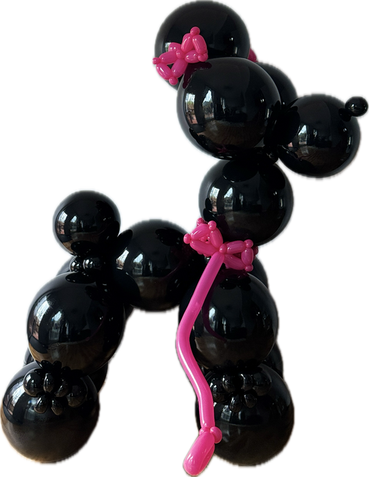 Luxury Balloon Poodle Duo