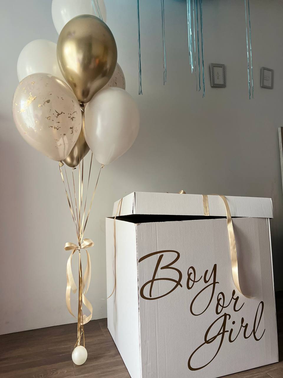 Gender Reveal