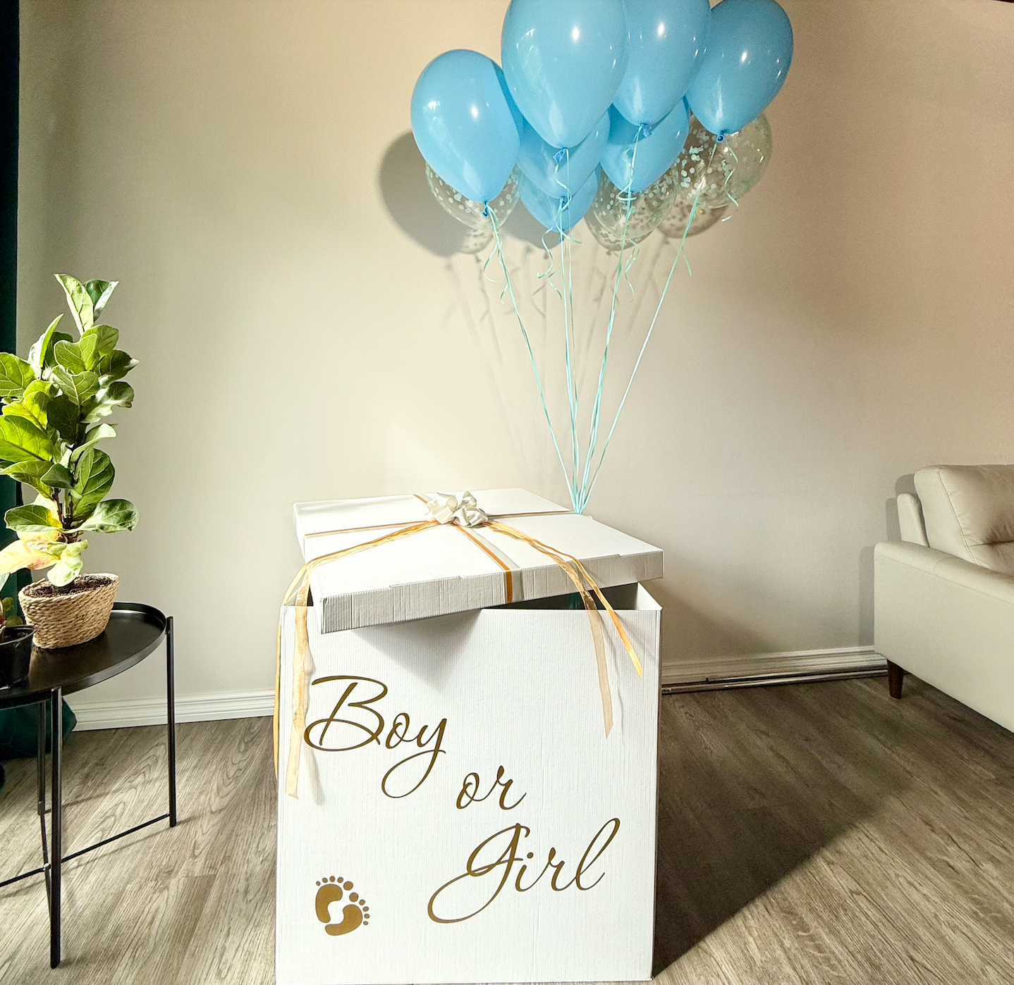 Gender Reveal