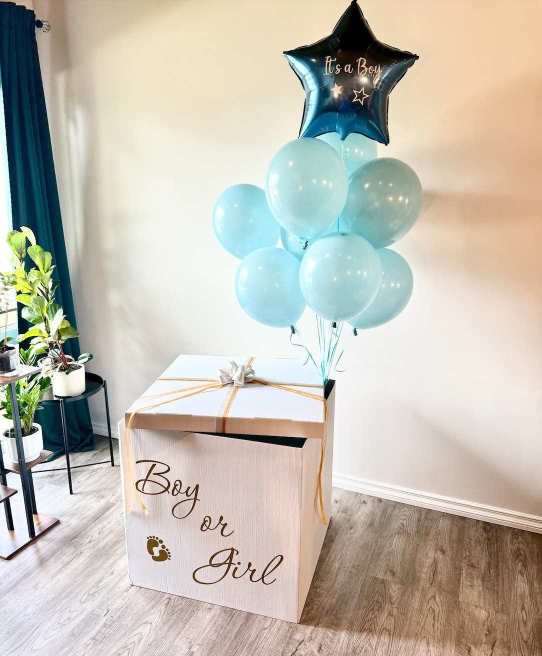 Gender Reveal