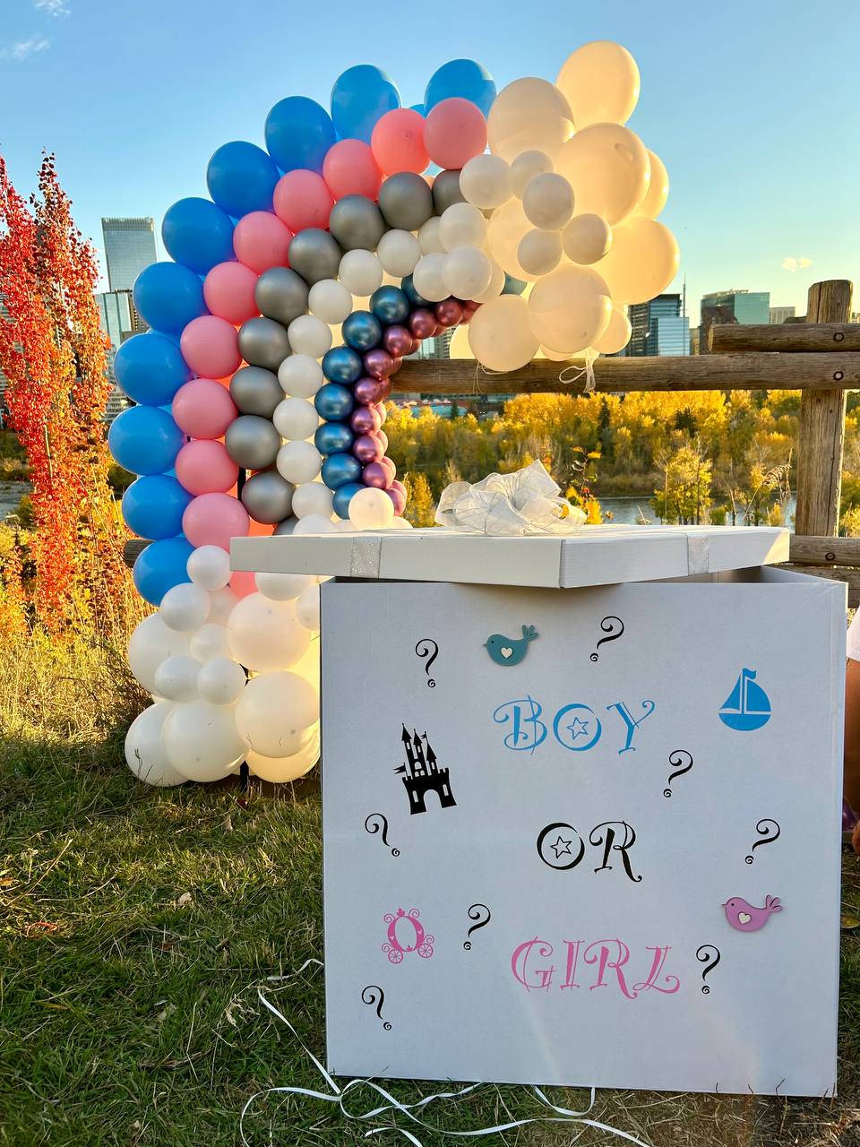 Gender Reveal