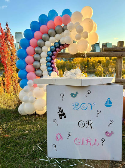 Gender Reveal