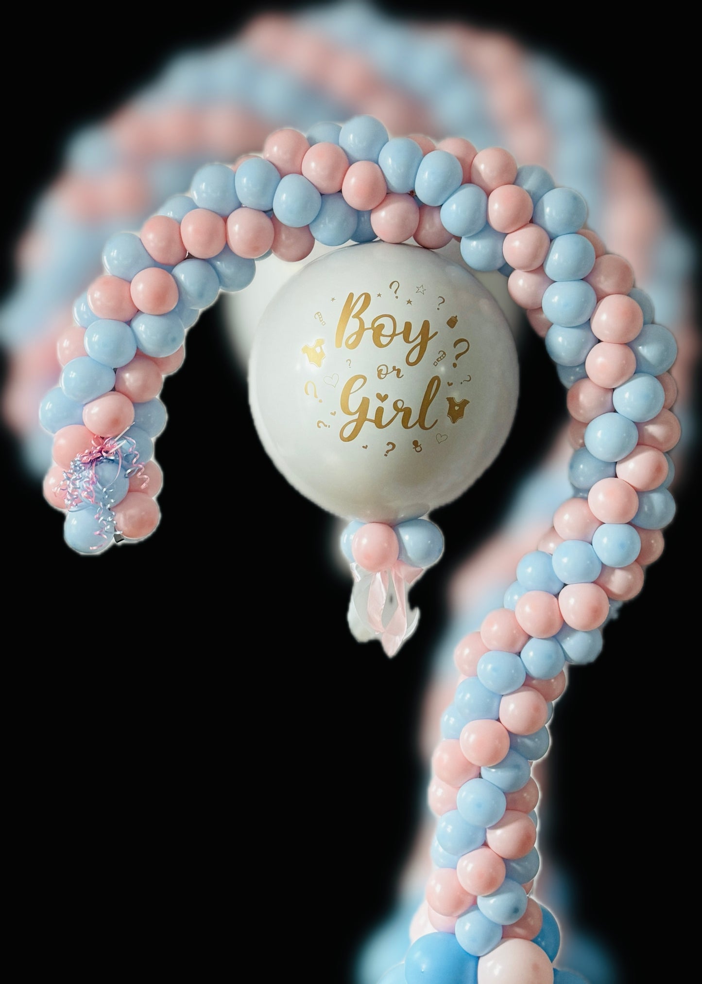 Gender Reveal